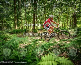 Bartje 200 photo