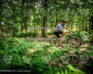 Bartje 200 photo