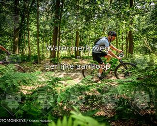Bartje 200 photo