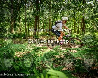Bartje 200 photo