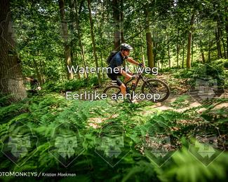 Bartje 200 photo