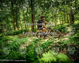 Bartje 200 photo