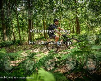 Bartje 200 photo