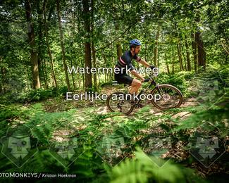 Bartje 200 photo