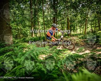 Bartje 200 photo