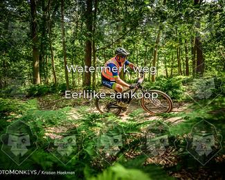 Bartje 200 photo
