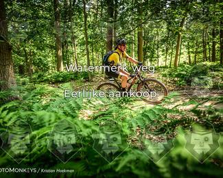 Bartje 200 photo