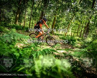 Bartje 200 photo