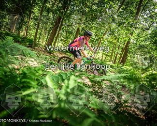 Bartje 200 photo