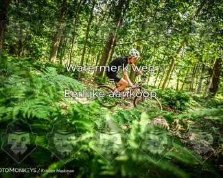 Bartje 200 photo