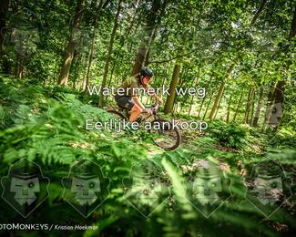 Bartje 200 photo
