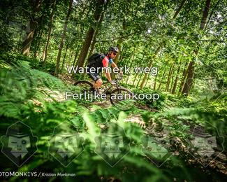 Bartje 200 photo