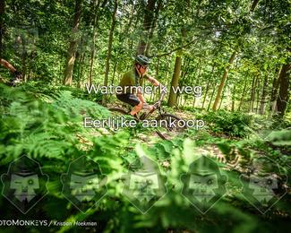 Bartje 200 photo