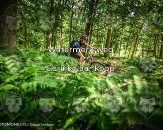 Bartje 200 photo