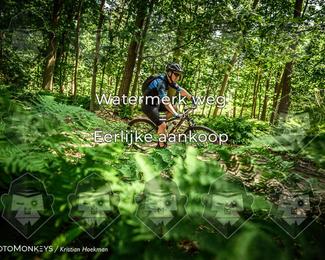Bartje 200 photo