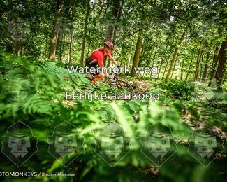 Bartje 200 photo