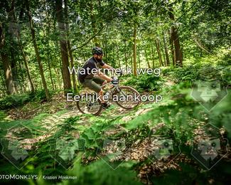 Bartje 200 photo