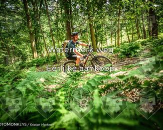 Bartje 200 photo