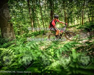 Bartje 200 photo