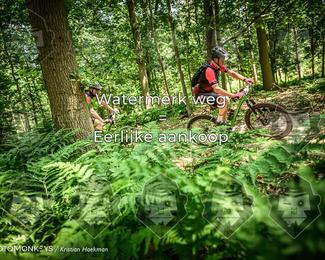 Bartje 200 photo