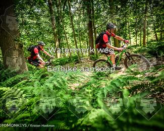 Bartje 200 photo