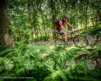 Bartje 200 photo