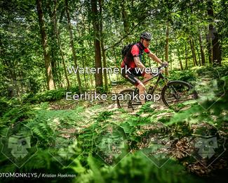 Bartje 200 photo