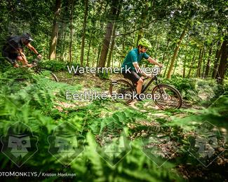 Bartje 200 photo