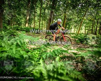 Bartje 200 photo
