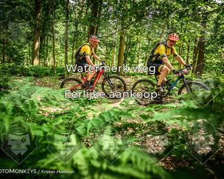Bartje 200 photo