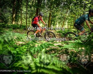 Bartje 200 photo