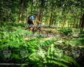 Bartje 200 photo