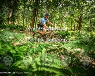 Bartje 200 photo