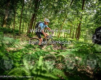 Bartje 200 photo
