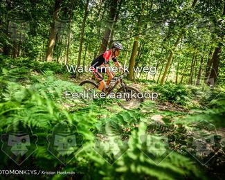 Bartje 200 photo