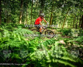 Bartje 200 photo