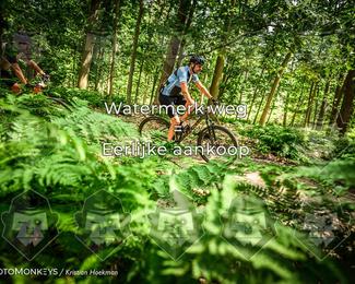 Bartje 200 photo