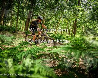 Bartje 200 photo