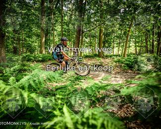 Bartje 200 photo