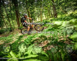 Bartje 200 photo