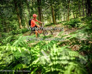 Bartje 200 photo