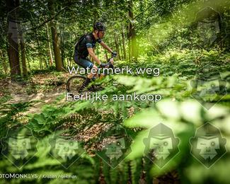 Bartje 200 photo
