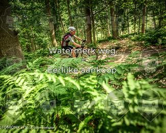 Bartje 200 photo