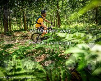Bartje 200 photo