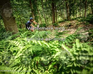 Bartje 200 photo