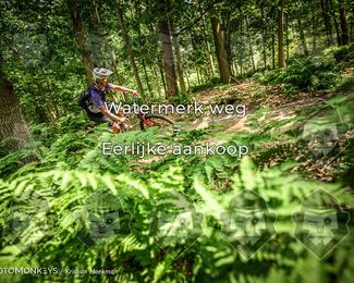 Bartje 200 photo