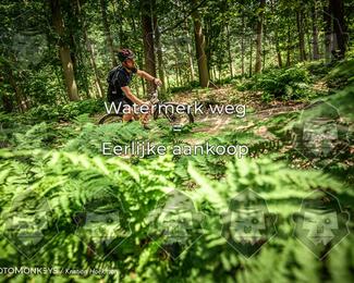 Bartje 200 photo