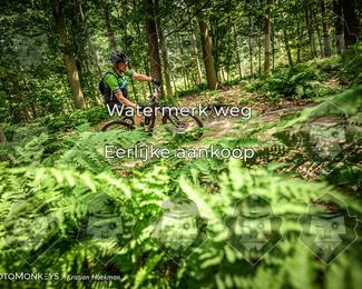 Bartje 200 photo