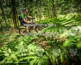 Bartje 200 photo