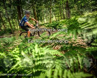 Bartje 200 photo